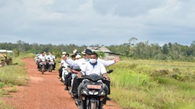 Gubernur Erzaldi Tinjau Lokasi Sawah Padi Desa Kepoh