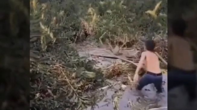 Ngeri! Viral Buaya Diusili Bocah-bocah, Publik: Diusili Balik Mampus