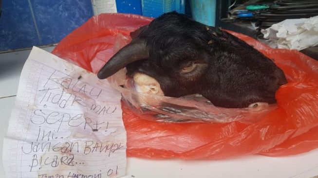 Kepala kambing hitam yang ditemukan di rumah Ketua KIPP Jatim. [Ist]