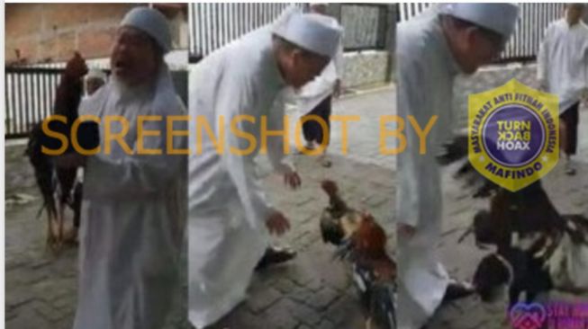 CEK FAKTA: Tengku Zul Jadi Tukang Adu Ayam usai Didepak Pengurusan MUI?