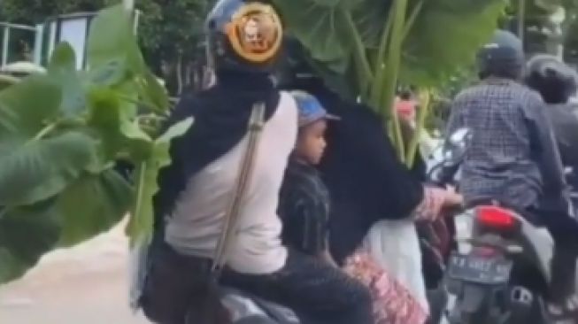 Viral Ibu-ibu Bonceng Tiga Sambil Bawa Tanaman Segede Gaban, Publik Takjub