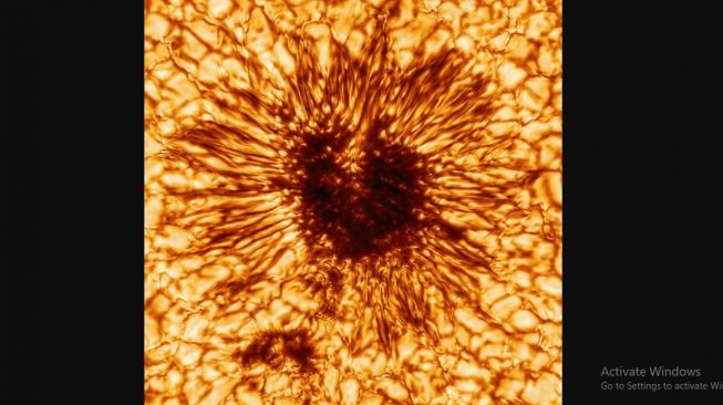 Bintik Matahari Seukuran Planet, Tumbuh 10 Kali Lipat dalam 2 Hari, Waspada Serangan Mendadak