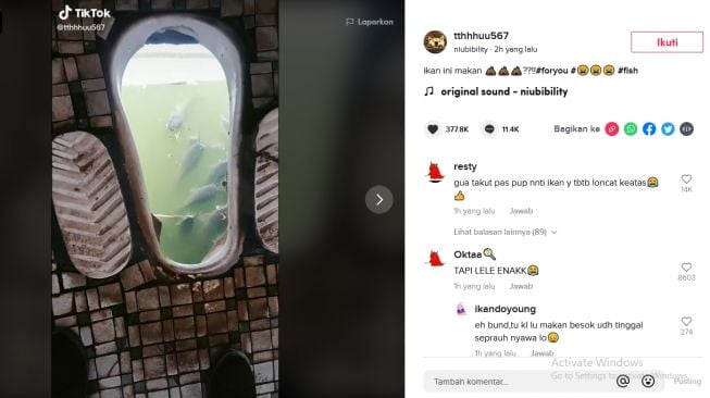 Cuplikan video tampilkan lele berenang di bawah jamban (tiktok.com/@tthhhuu567)