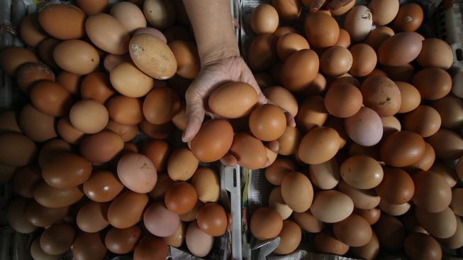 Pedagang menunjukkan telur ayam ras di salah satu stan, di Pasar Pabean, Surabaya, Jawa Timur, Jumat (11/12/2020).  [ANTARA FOTO/Moch Asim]