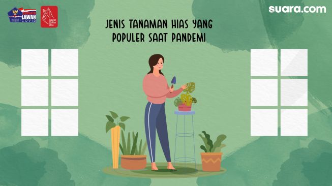 Videografis: Jenis Tanaman Hias yang Populer saat Pandemi