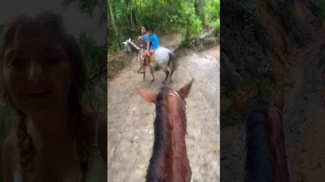 Seorang turis tiba-tiba terbangun dalam kondisi menunggang kuda karena mabuk.[TikTok]