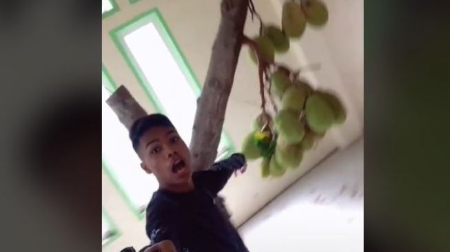 Viral Pohon Nangka Tumbuh di dalam Rumah, Konon Kerap Didatangi Mbak Kunti