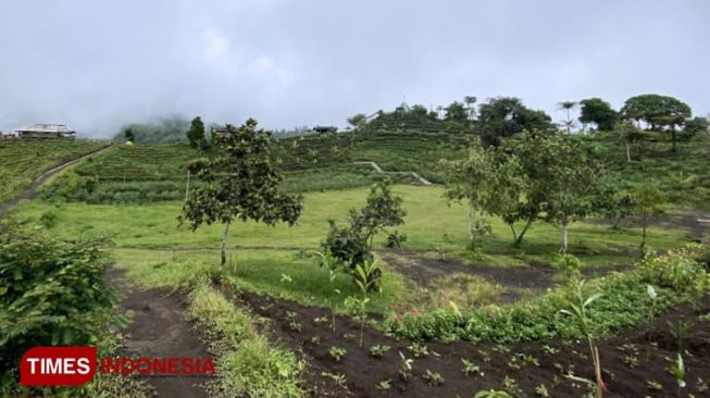 Bukit Pasir Haur, Panorama Menakjubkan di Kaki Gunung Galunggung