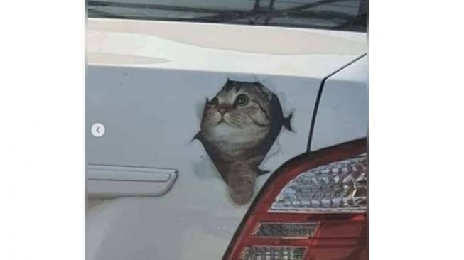 Ternyata penampakan kucing yang ada di bagasi mobil itu cuma stiker 3d (Instagram)