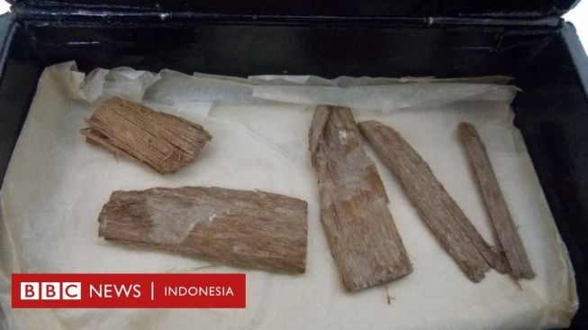 Artefak Mesir yang Lama Hilang Ditemukan di Dalam Kotak Cerutu