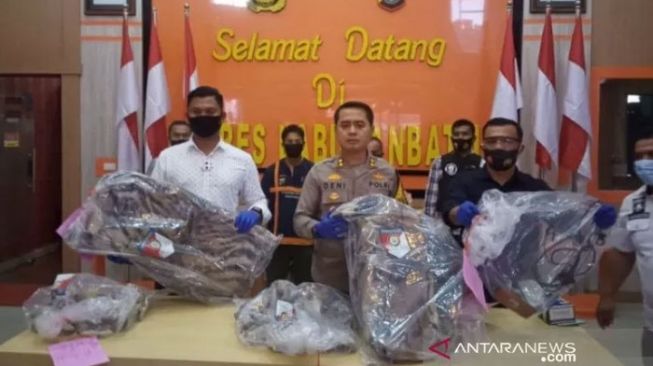 Polisi Gagalkan Perdagangan Kulit dan Tulang Harimau, 2 Pelaku Ditangkap