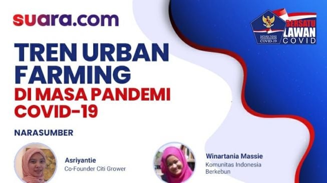 Ingin Tahu Manfaat Urban Farming Selama Pandemi? Simak Di Sini