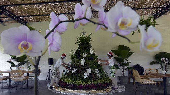 Pekerja menata pohon natal yang terbuat dari puluhan jenis tanaman hias di Duta Orchid Garden, Denpasar, Bali, Kamis (17/12/2020). [ANTARA FOTO/Nyoman Hendra Wibowo]