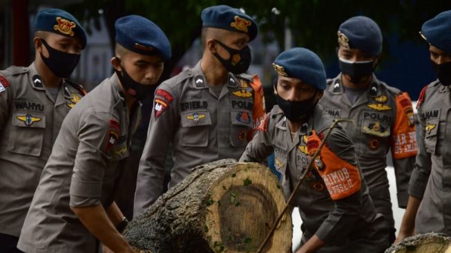 Tim SAR Batalyon A Pelopor Polda Sulsel melakukan proses pembersihan pohon tumbang di Jalan Sultan Alauddin, Jumat (18/12/2020) / [Foto: Brimob Batalyon A Pelopor]