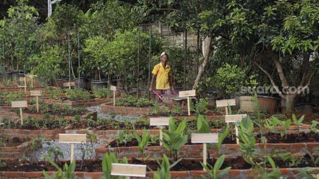 Pekerja menyelesaikan pembuatan sejumlah fasilitas di Agro Edukasi Wisata Ragunan, Jakarta, Sabtu (19/12/2020). [Suara.com/Angga Budhiyanto] 