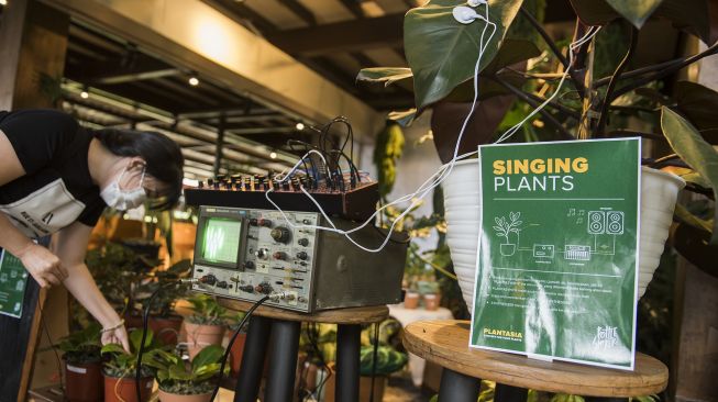 Warga memainkan nada dari daun dalam pertunjukan musik untuk tanaman di Galeri Flora Indonesia, Dusun Bambu, Cisarua, Kabupaten Bandung Barat, Jawa Barat, Sabtu (19/12/2020). [ANTARA FOTO/M Agung Rajasa]