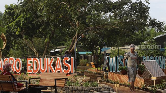 Pekerja menata tanaman di Agro Edukasi Wisata Ragunan, Jakarta, Sabtu (19/12/2020). [Suara.com/Angga Budhiyanto] 