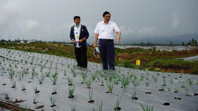 Pengerjaan Food Estate di Sumatera Utara Selesai Akhir Tahun Ini