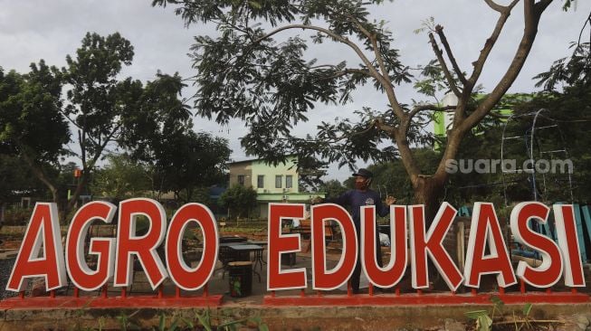 Pekerja merawat fasilitas yang tersedia di Agro Edukasi Wisata Ragunan, Jakarta, Sabtu (19/12/2020). [Suara.com/Angga Budhiyanto] 