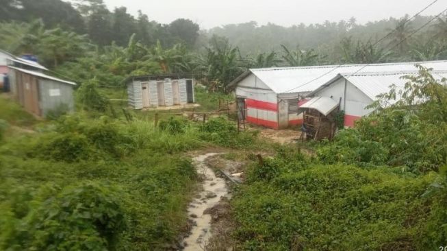 Kondisi Huntara korban tsunami Banten di Kampung Pasir Malang, Desa Sumber Jaya, Kecamatan Sumur (Foto: Istimewa).