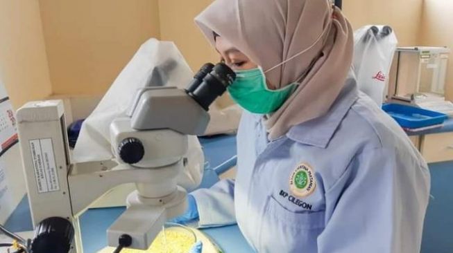 Bungkil Kedalai Asal Argentina di Cilegon Potensi Mengandung OPTK