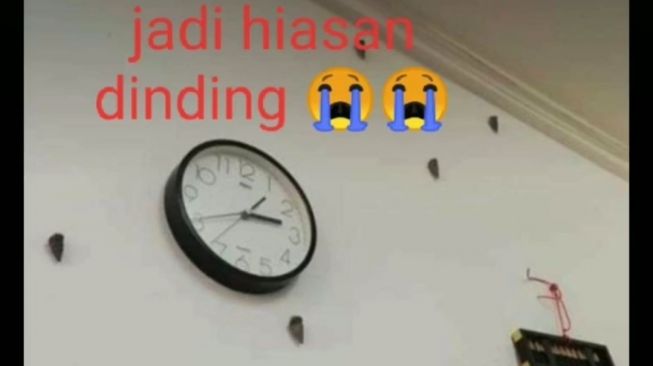 Viral Netizen Lupa Tutup Wadah Saat Mau Masak Tutut, Endingnya Bikin Ngakak