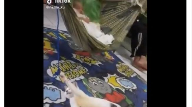 Gemas! Kucing Ini Bantu Mengayun Ayunan Bayi Majikan Agar Tetap Bergerak