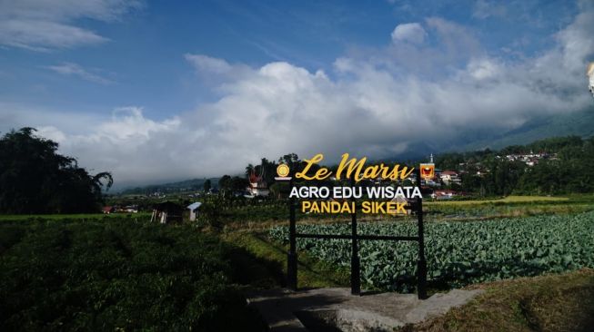 Le Marsi, Agroeduwisata Pertama Sajikan Panorama Lembah Marapi-Singgalang