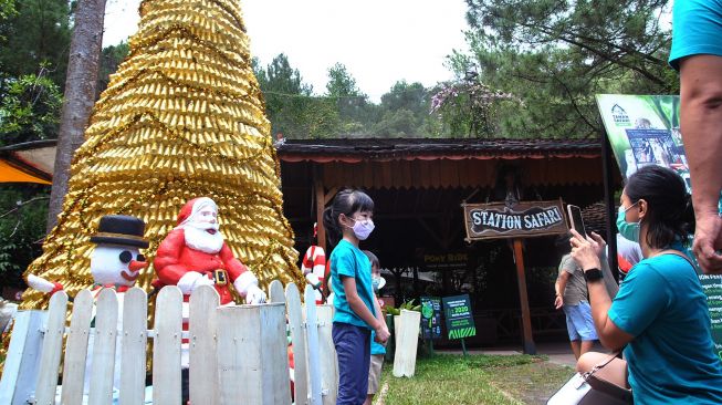 Pengunjung foto di depan pohon Natal dari 2020 botol minum plastik bekas di Taman Safari Indonesia, Cisarua, Kabupaten Bogor, Jawa Barat, Kamis (24/12/2020).  ANTARA FOTO/Arif Firmansyah