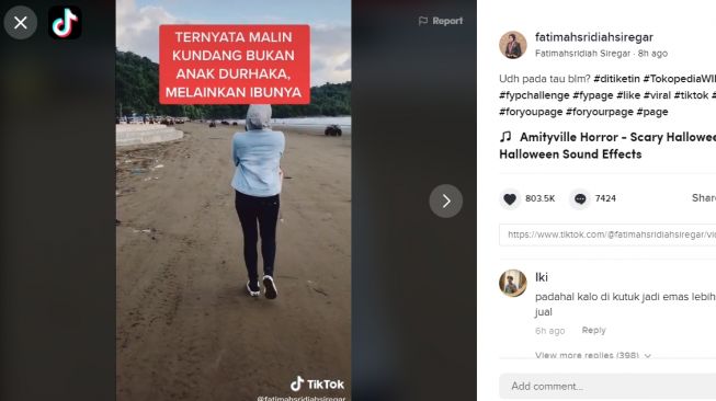 Versi lain cerita malin kundang. (TikTok)