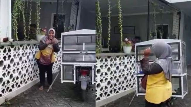 Ibu pedagang makanan viral. (Tiktok/@datozainal)