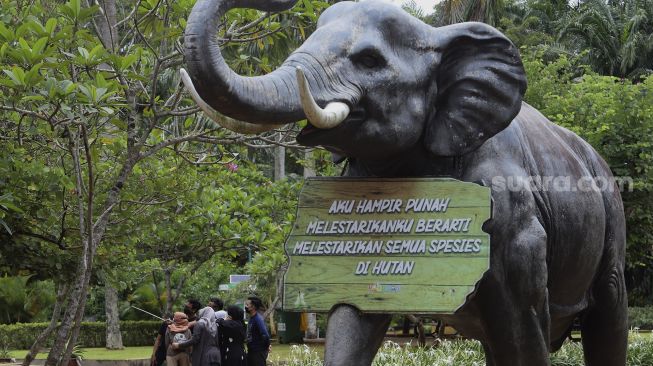 Pengunjung berswafoto di area Taman Margasatwa Ragunan, Jakarta, Sabtu (26/12/2020). [Suara.com/Angga Budhiyanto]