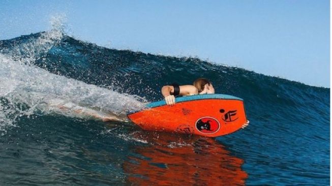 Toko Surfing AS Mendadak Banjir Komentar Soal PDIP, Ada Apa?