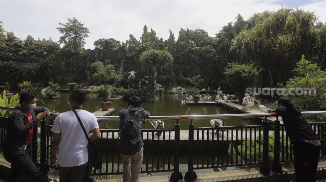 Pengunjung melihat burung pelikan di Taman Margasatwa Ragunan, Jakarta, Sabtu (26/12/2020). [Suara.com/Angga Budhiyanto]