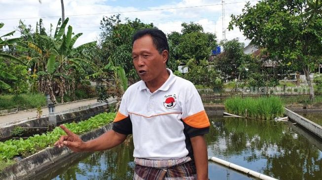 Pemilik Joglo Tani, To Suprapto, menunjukkan lahan pertanian eksperimen yang ia buat dengan menggabungkan kolam ikan air tawar untuk menanam padi, di Jalan Godean KM 9, Mandungan 1, Desa Margoluwih, Kecamatan Seyegan, Sleman, Minggu (27/12/2020). - (SuaraJogja.id/Hiskia Andika)