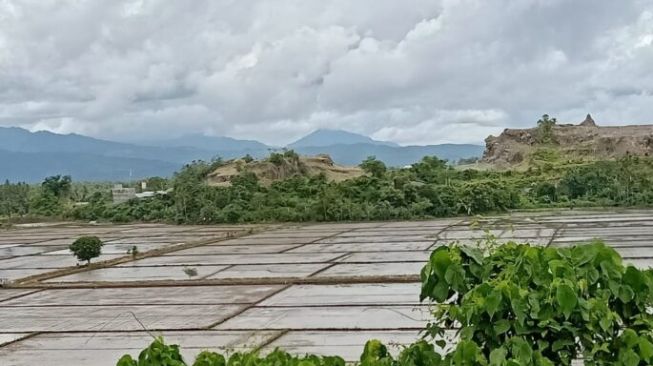 Sedih! 2 Petani di Pinrang Ditangkap Polisi Karena Menolak Tambang