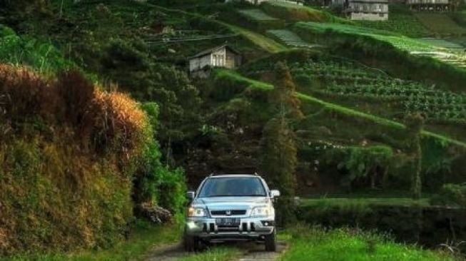 Syahdu Luar Biasa, Nepal Van Java di Magelang Ini Siap Buat Kalian Terpana