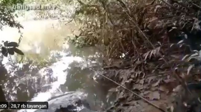 Buaya muncul saat seorang warga tengah asyik memancing (Twitter/Jawafess)