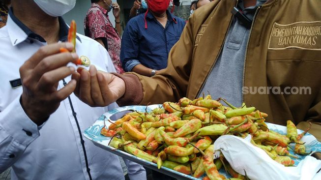 Heboh Cabai Campur Pewarna, Ini Resiko Pada Ginjal dan Liver Jika Termakan