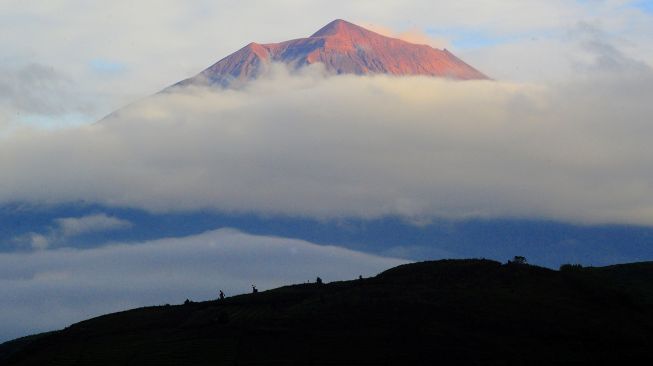 Puncak Gunung Kerinci (3805 mdpl) di antara hamparan awan saat matahari terbit pada awal tahun 2021 di Kayu Aro, Kerinci, Jambi, Jumat (1/1/2021).  [ANTARA FOTO/Wahdi Septiawan]
