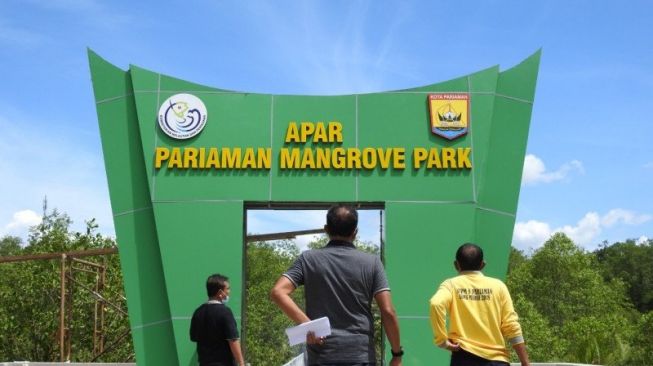 Kawasan Mangrove Pariaman Bakal Diubah Jadi Wisata Minat Khusus