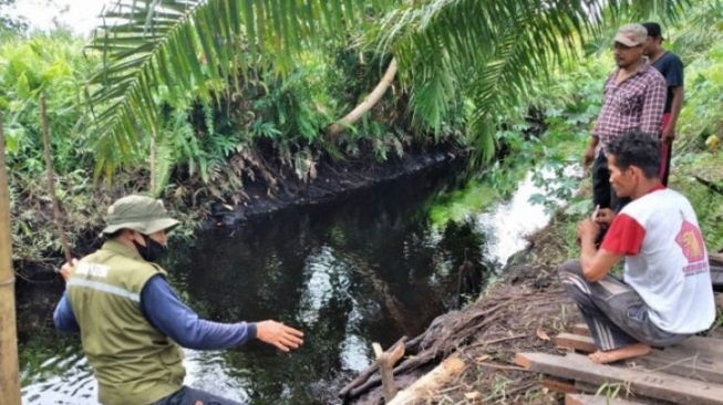 Diterkam Buaya, Tangan Kiri Nenek Bahriah Putus