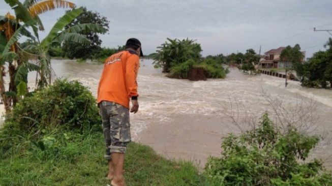 Ini Dampak Tanggul Sungai Gelis Kabupaten Kudus Jebol