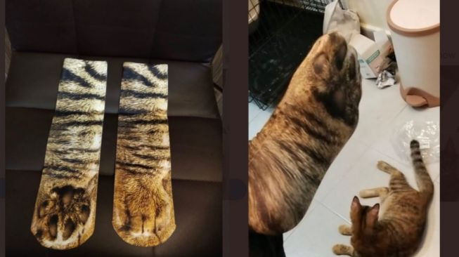 Viral Aksi Bapak-Bapak Beli Kaus Kaki Motif Bulu Kucing (twitter.com/br0keb1tch)