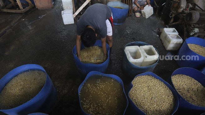 Pekerja membersihkan kacang kedelai saat produksi tahu di salah satu pabrik tahu di kawasan Duren Tiga, Jakarta, Selasa (5/1/2021). [Suara.com/Angga Budhiyanto]