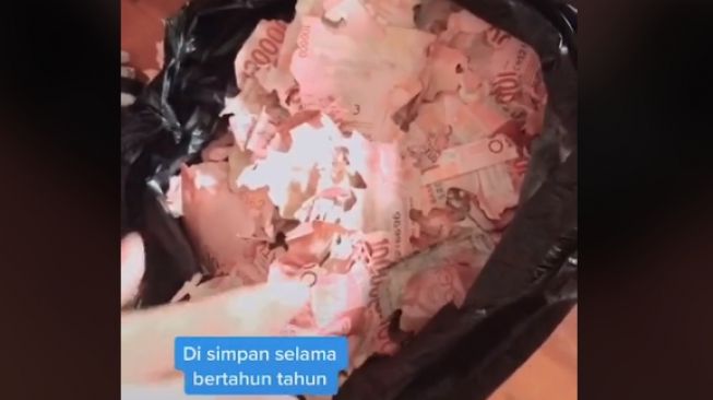 Sakit Tapi Tak Berdarah, Uang Tabungan Rp 15 Juta Hancur Dimakan Rayap