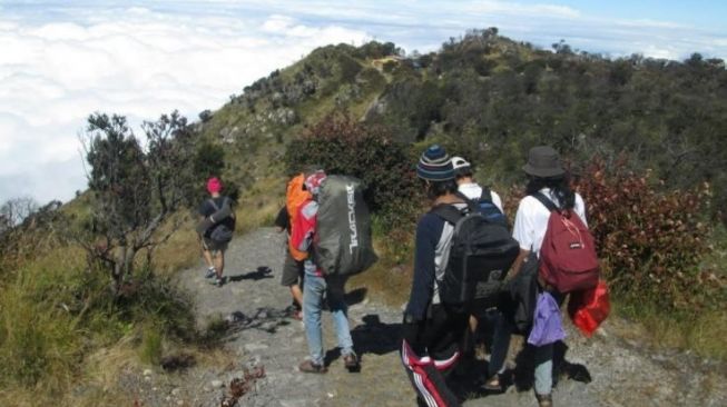 Aktivitas para pendaki di Gunung Lawu Magetan Jawa Timur (Foto: Beritajatim.com)