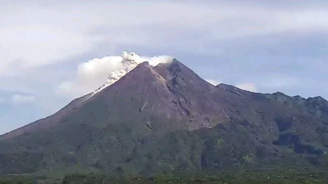 Gunung Merapi Muntahkan Awan Panas, Kolom Erupsi Setinggi 200 Meter