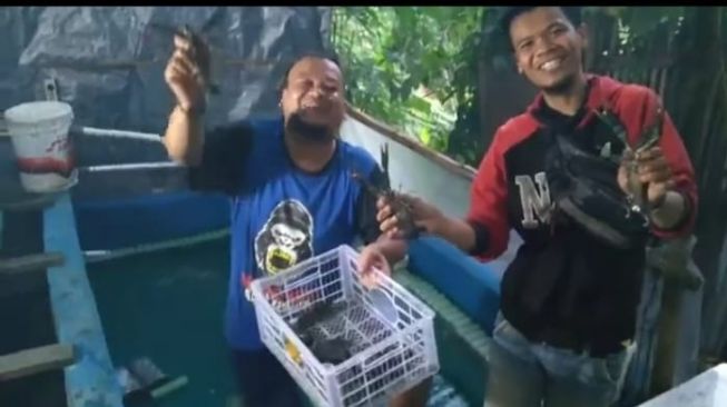 Pantang Menyerah Saat Pandemi, Pengusaha Lobster Ini Tetap Untung Rp45 Juta Per Bulan