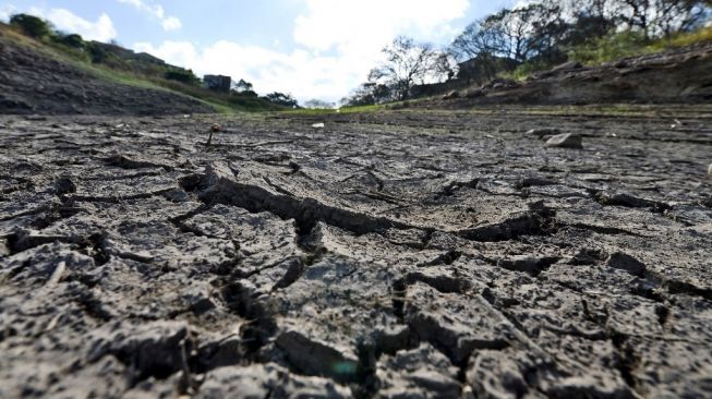 Ilustrasi dampak El Nino. [Orlando Sierra/AFP]